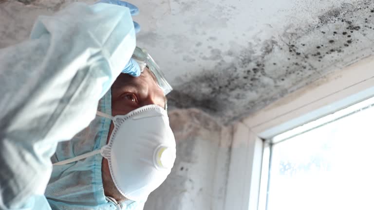 Best Commercial Mold Inspection  in Kemah, TX